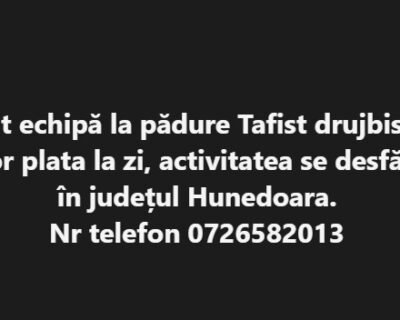 79b85ad3-7fc0-4ea3-adf0-60b4b6e5cf38