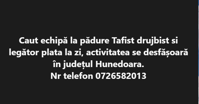 Caut echipă la pădure Tafist drujbist si legător plata la zi