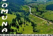 Festivalul Național al Păstrăvului – Ciocănești