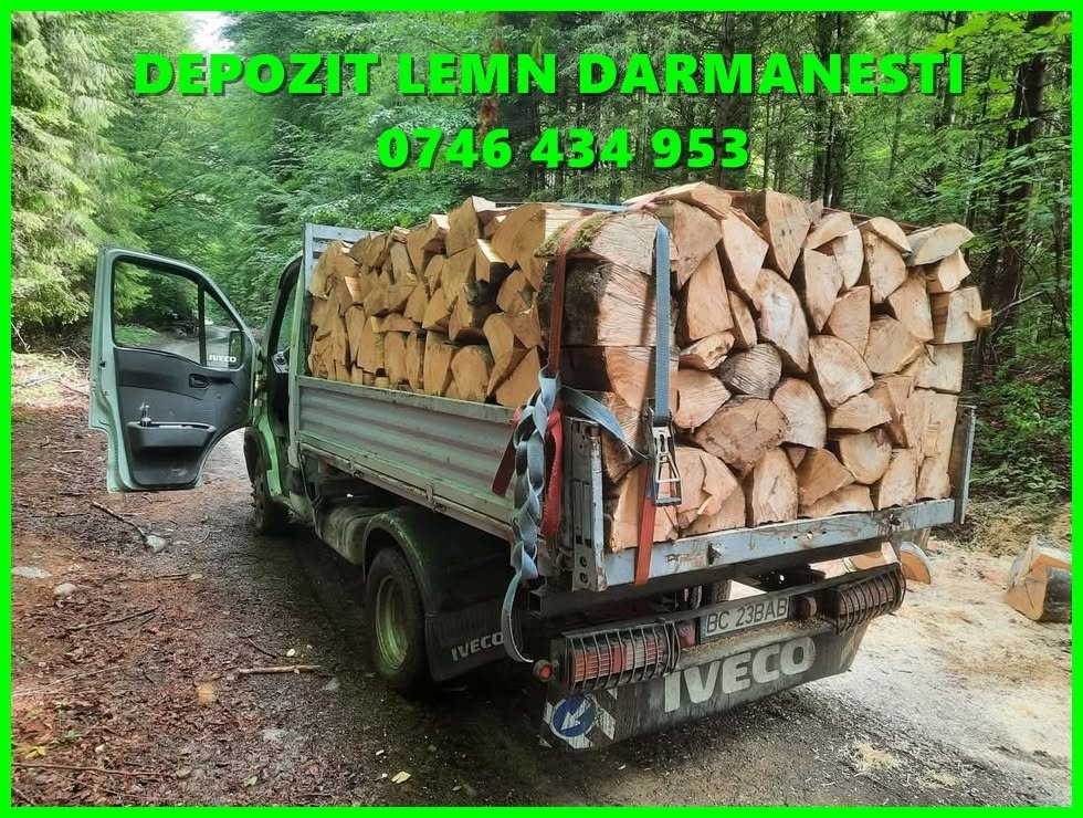 Depozit Lemn Darmanesti